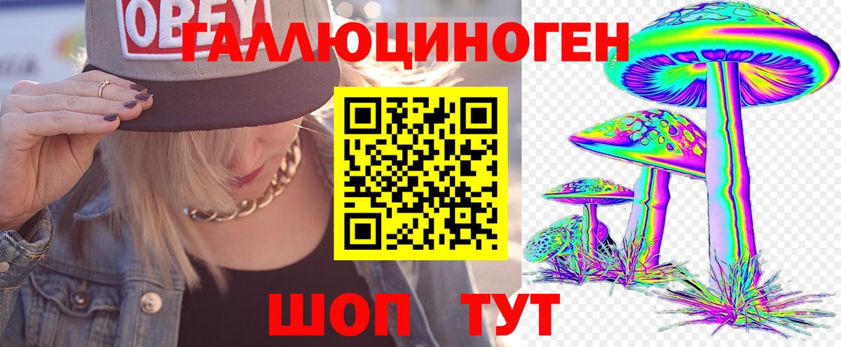 Псилоцибиновые грибы мицелий Балашиха