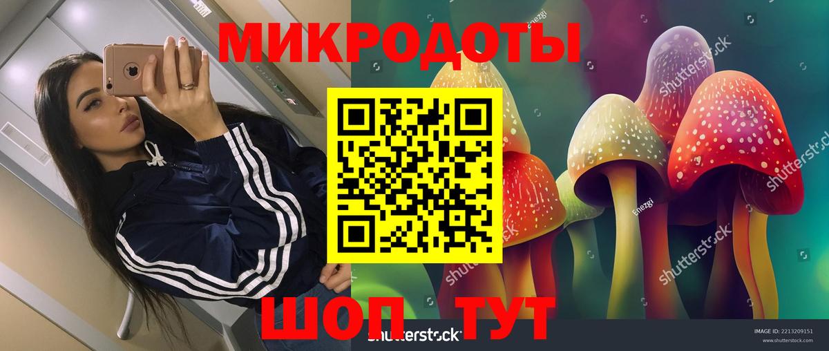 Балашиха  наркота  Вход с VPN  Галлюциногенные грибы Psilocybe 